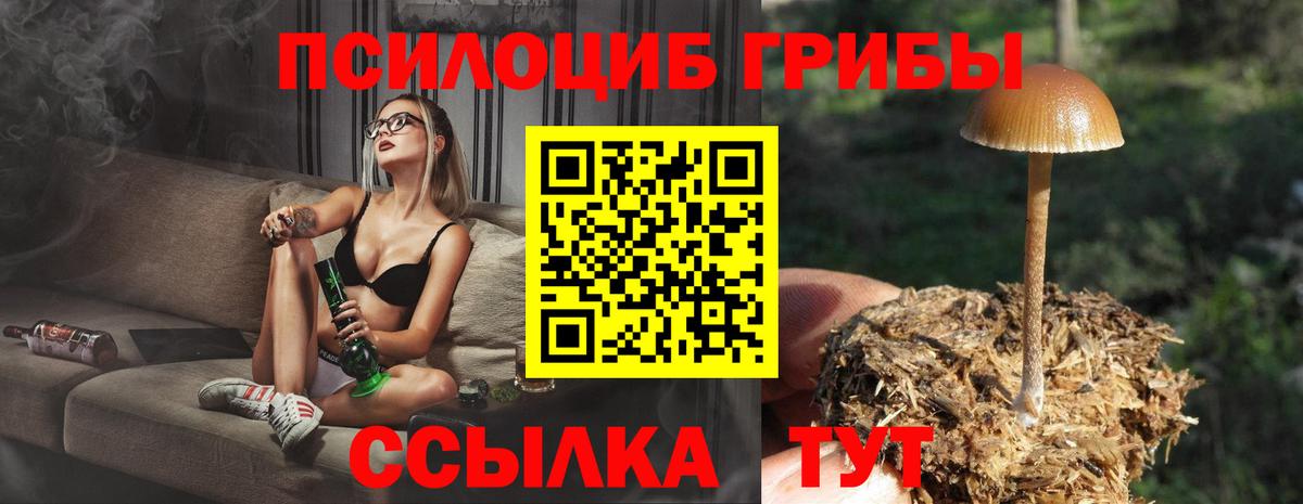 Псилоцибиновые грибы Psilocybine cubensis  Вход с VPN  Вятские Поляны 